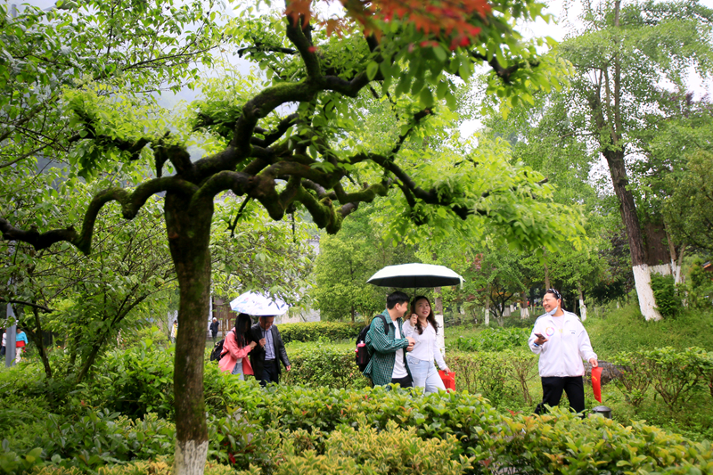 五一”樂游張家界丨張家界黃龍洞景區(qū)雨中迎來(lái)“五一”客流高峰